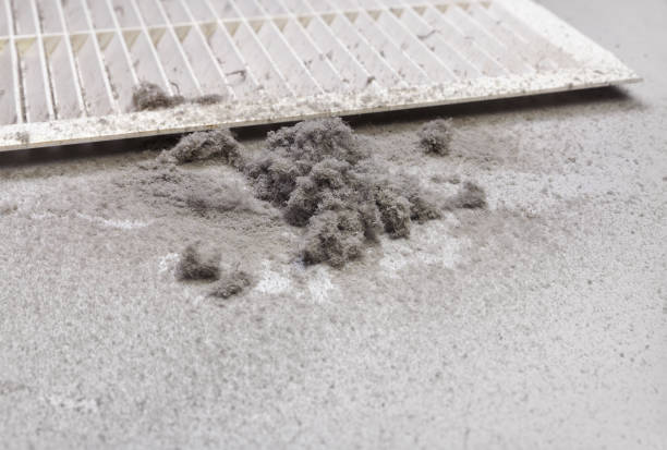 Best Affordable Duct Cleaning Services  in Elkin, NC